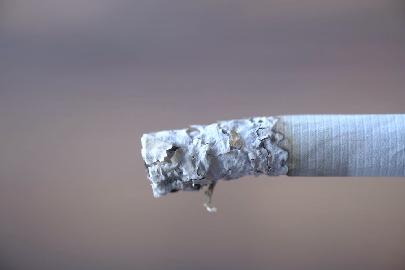 A cigarette with a long column of ash