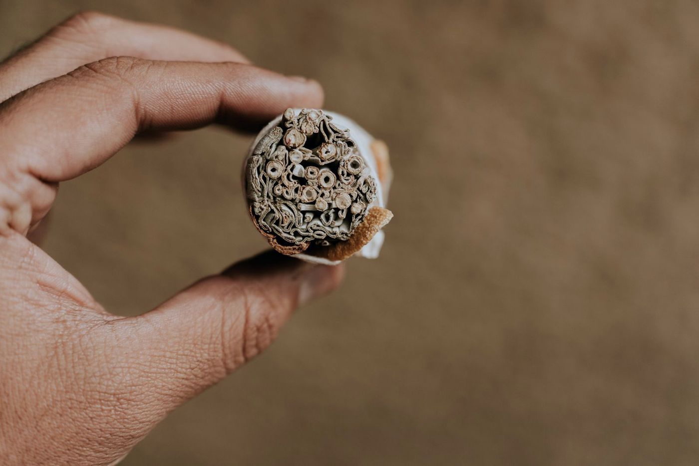 A hand holding a hand-rolled spliff